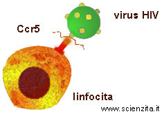 blocco dell'ingresso al virus