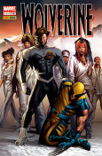 wolverine 196