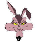 Wile Coyote faccia furba