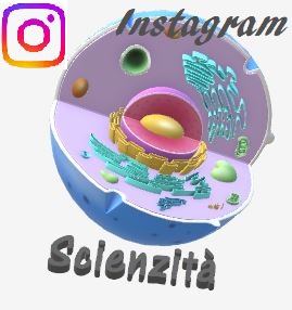 scienzità su instagram