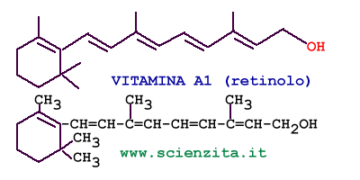 vitamina A1