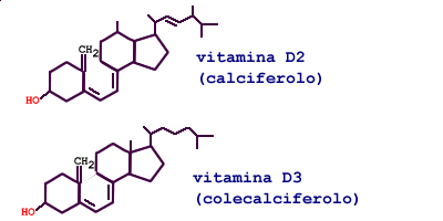 vitamina d2 e d3
