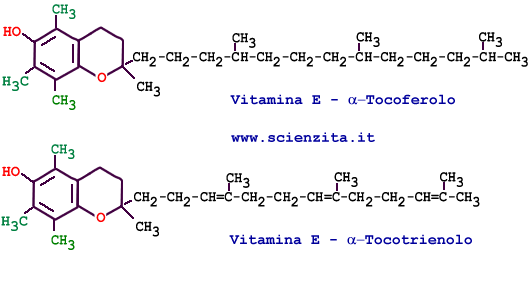 vitamina E tocoferolo e tocotrienolo