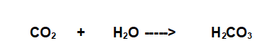 sintesi dell'acido carbonico