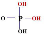 il gruppo fosfato